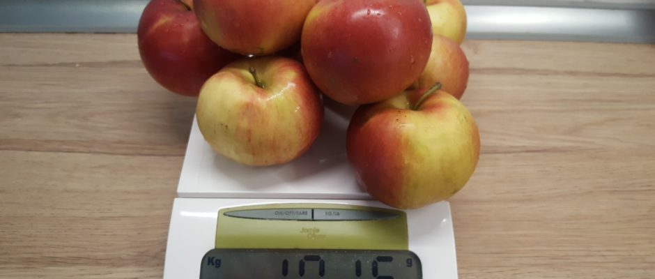 1 kg alma